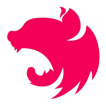 NestJS - technology used by Lenawa Solutions web developers